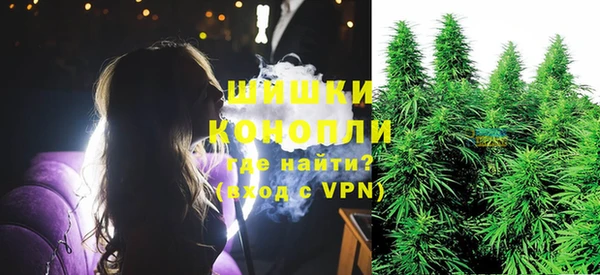 тгк Медвежьегорск