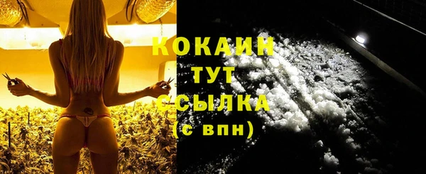 амф Кострома