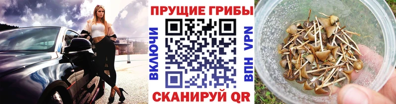Псилоцибиновые грибы MAGIC MUSHROOMS  Псков 