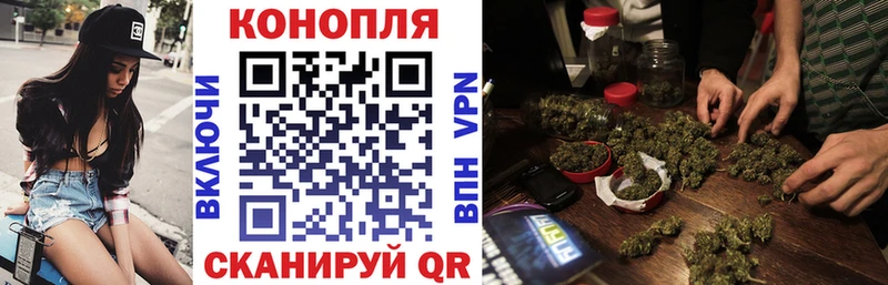 Бошки марихуана ГИДРОПОН Псков